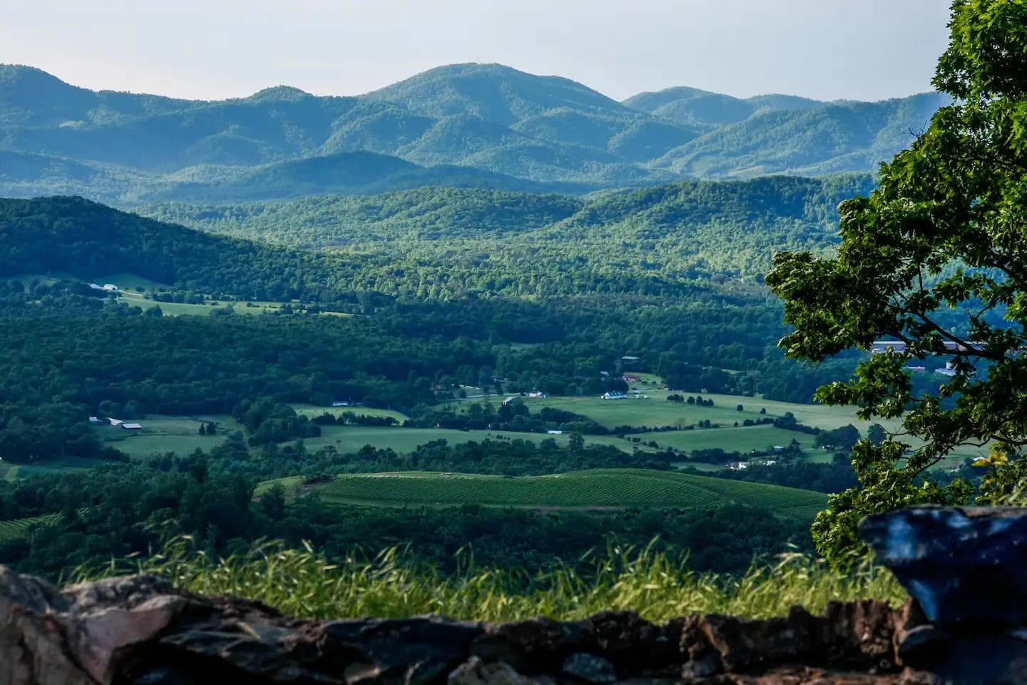 
 
Looking across Shenandoah Valley
 
 