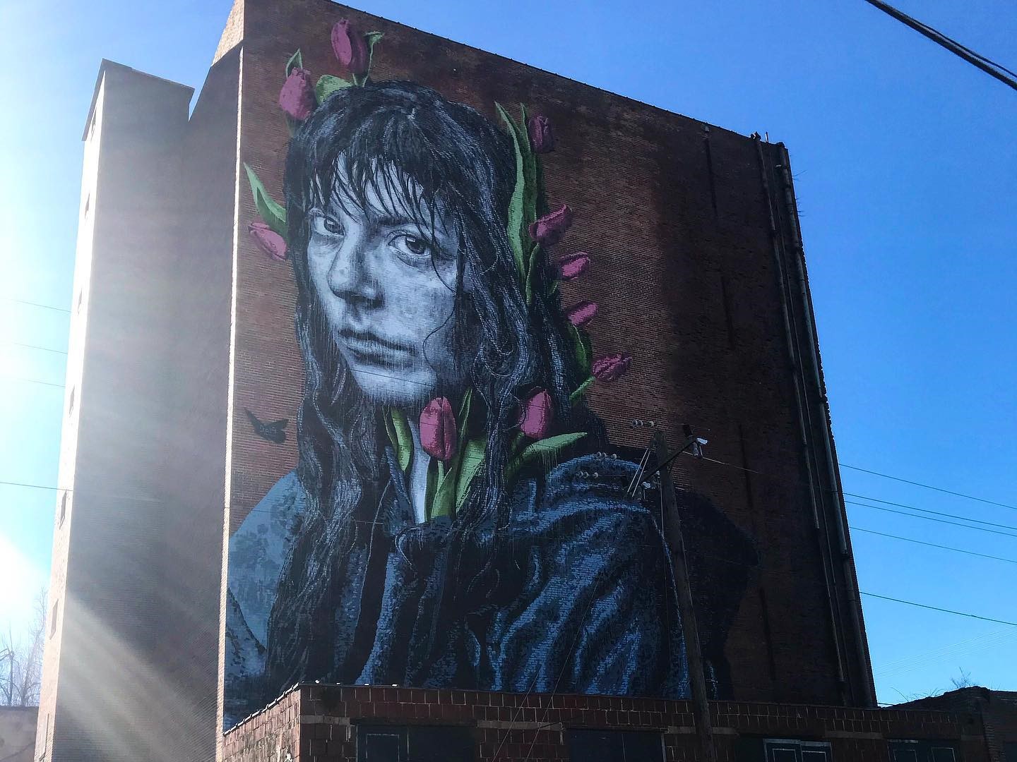 
 
Mural in nearby downtown Waynesboro
 
 